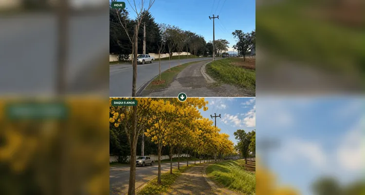 Planejamento para os próximos anos