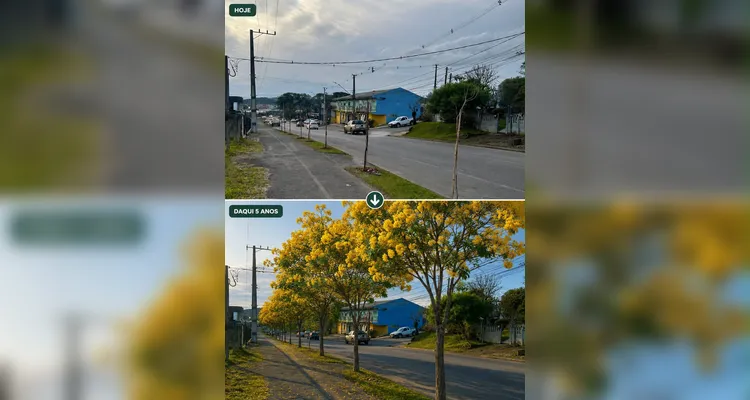 Planejamento para os próximos anos