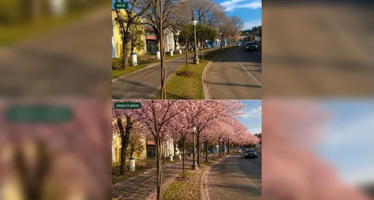 Planejamento para os próximos anos