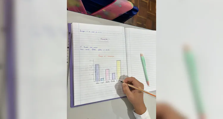 Os alunos também elaboraram gráficos e tabelas.
