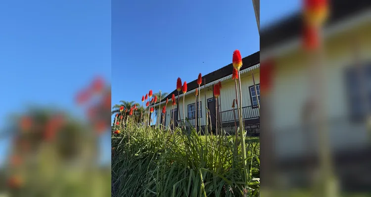 Casa Mezzadri reabre suas portas neste sábado na Colônia Cecília