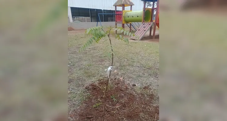 Confira a série de registros do trabalho dentro e fora da sala de aula.