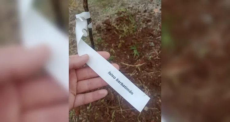 Confira a série de registros do trabalho dentro e fora da sala de aula.