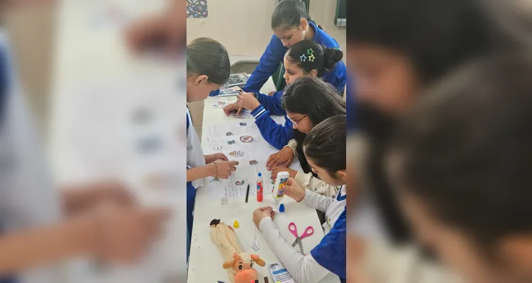 Confira a série de registros do trabalho dos alunos.