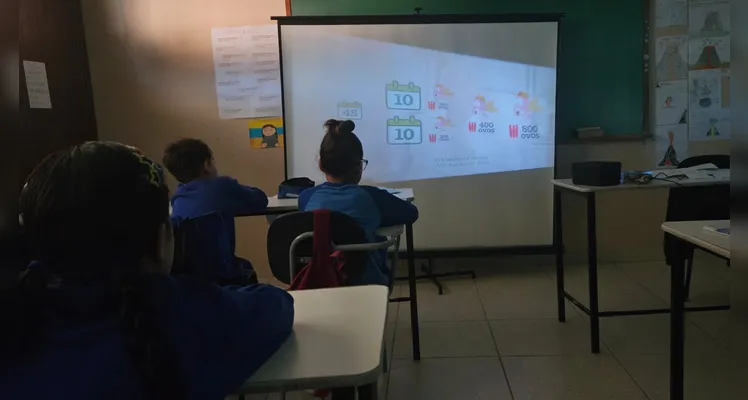 Confira a série de registros do trabalho dos alunos.