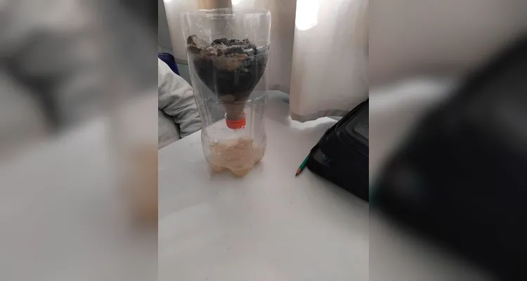 Confira os registros da proposta dentro e fora da sala de aula.