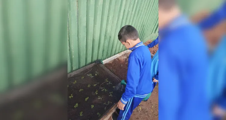 Veja a série de registros de várias etapas da proposta.