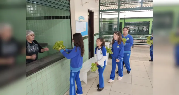 Veja a série de registros de várias etapas da proposta.