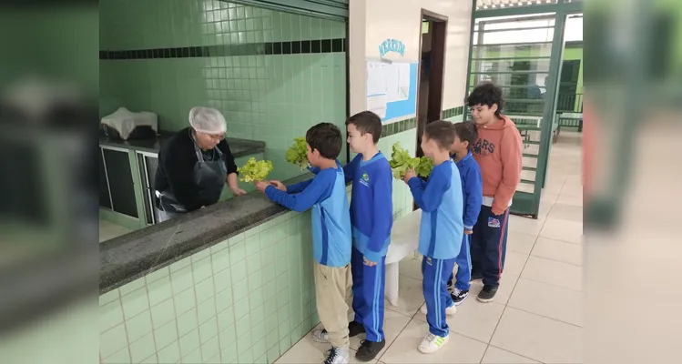 Veja a série de registros de várias etapas da proposta.