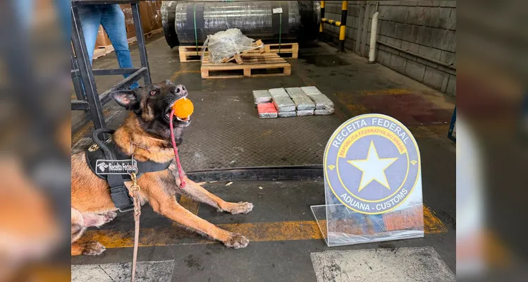 Confira imagens do local da apreensão.