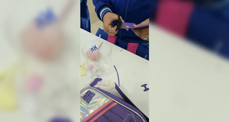 Confira os registros do trabalho dentro e fora da sala de aula.