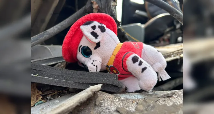 Imagens mostram estado de micro-ônibus e caminhão após acidente na BR-373