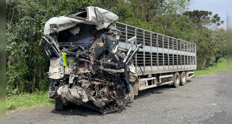 Imagens mostram estado de micro-ônibus e caminhão após acidente na BR-373