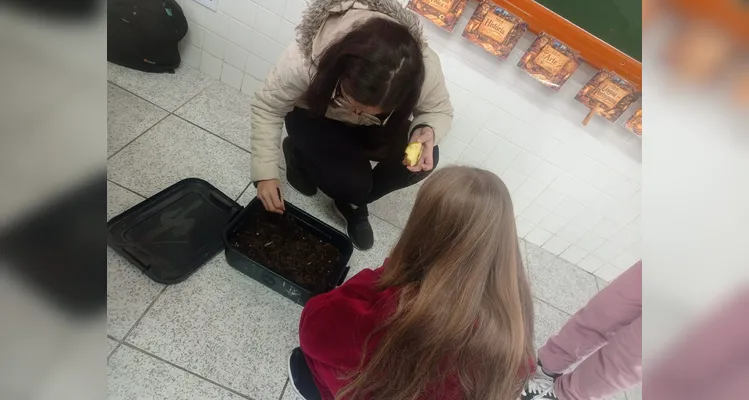 Confira os registros do trabalho em sala de aula.