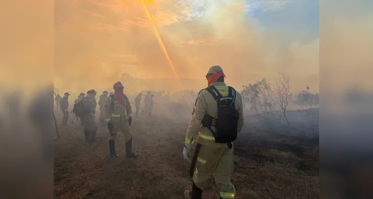 500 bombeiros participam do maior treinamento de combate a incêndios florestais