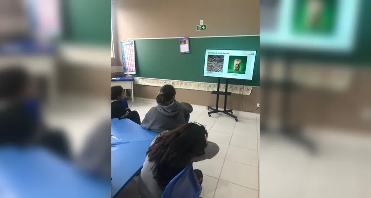 Confira os registros do trabalho em sala de aula.