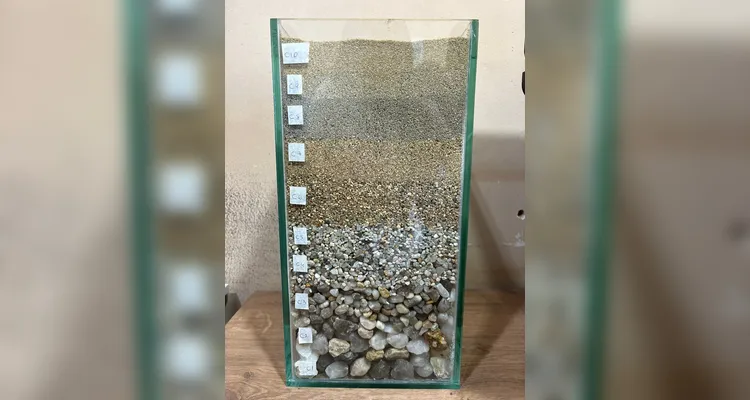 Confira a série de registros do trabalho no local.