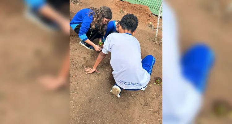 Confira a série de registros do amplo trabalho realizado pelos educandos.