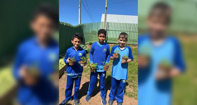 Confira a série de registros do amplo trabalho realizado pelos educandos.