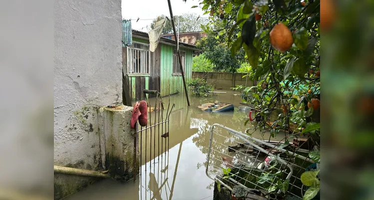 Chuva alaga casa e mobiliza Defesa Civil no bairro Nova Rússia em PG