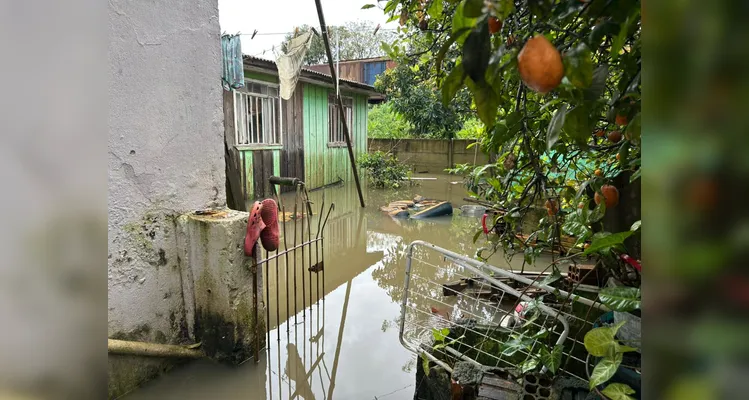 Chuva alaga casa e mobiliza Defesa Civil no bairro Nova Rússia em PG