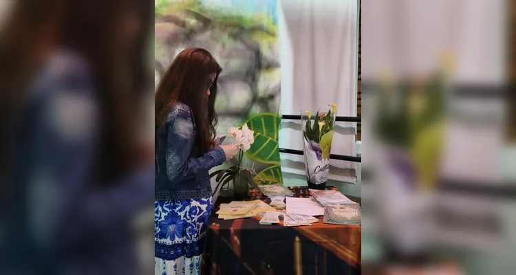Rosicler Antoniácomi promove lançamento de livros em Ponta Grossa