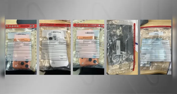 Carros de luxo, joias e celulares: confira os bens apreendidos no Caso Master