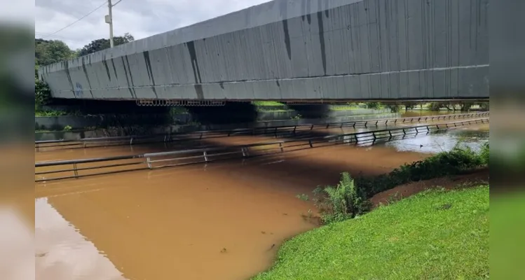 O cenário faz parte de uma função importante dos parques: conter a água da chuva e drená-la para evitar que chegue às áreas residenciais.