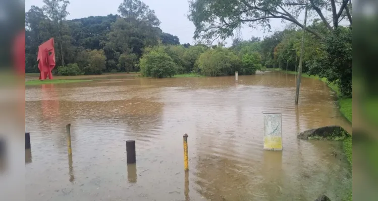O cenário faz parte de uma função importante dos parques: conter a água da chuva e drená-la para evitar que chegue às áreas residenciais.
