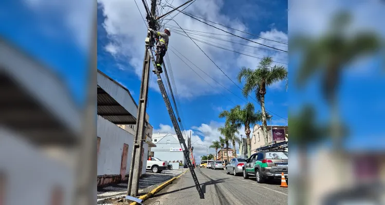 Copel retira uma tonelada de fios irregulares de postes em Palmeira