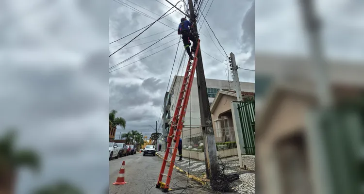 Copel retira uma tonelada de fios irregulares de postes em Palmeira