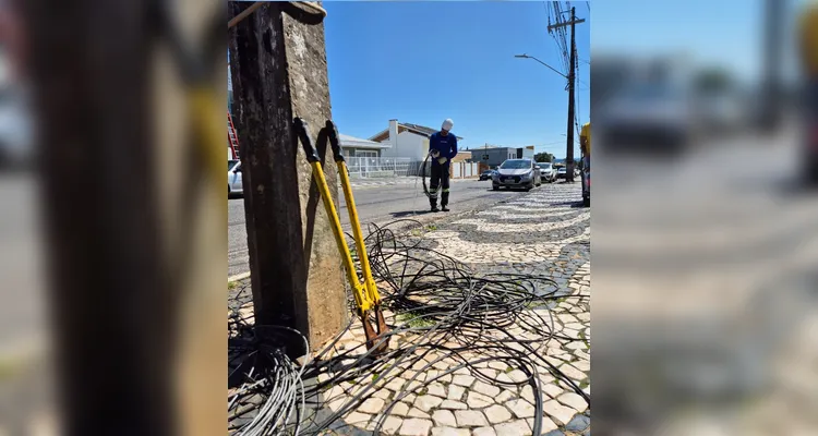 Copel retira uma tonelada de fios irregulares de postes em Palmeira