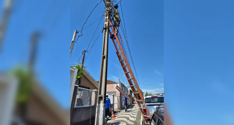 Copel retira uma tonelada de fios irregulares de postes em Palmeira