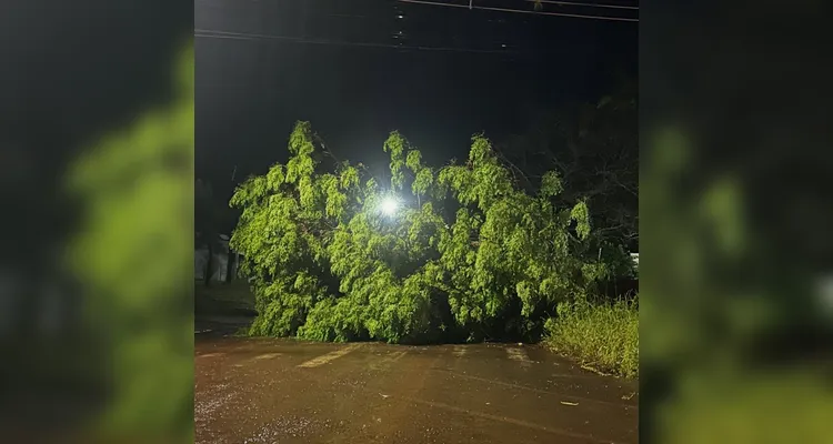 Temporal causa destruição e deixa casas destelhadas em municípios do Paraná