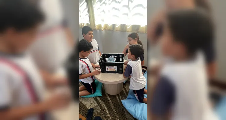 Confira a série de registros da ampla proposta dentro e fora da sala de aula.