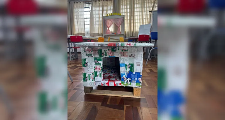 Projeto transforma caixas de leite em abrigos para animais abandonados em escola de PG