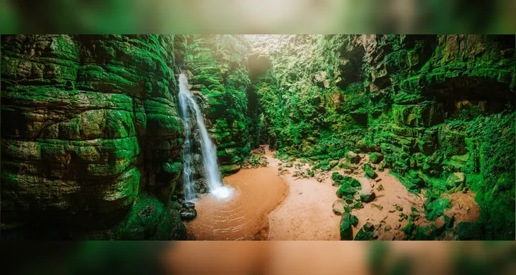 Das 9h às 16h30, os visitantes poderão acessar o parque sem pagar ingresso.