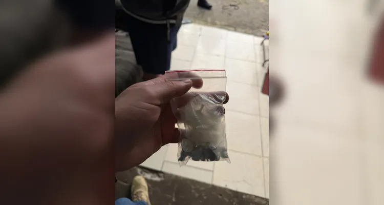 Operação Asfixia prende duas pessoas e apreende drogas em Imbituva