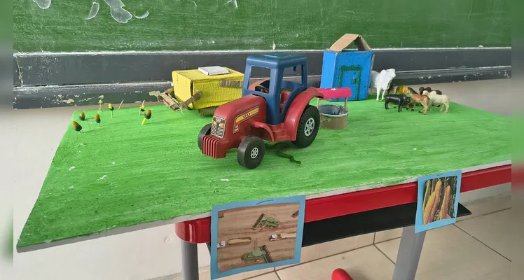 Confira a série de registros da ampla proposta em sala de aula.