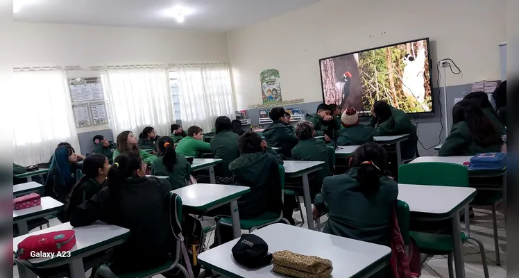 Veja a série de registros realizada pelos estudantes e dentro da sala de aula.