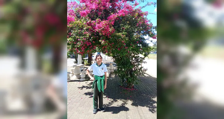 Veja a série de registros realizada pelos estudantes e dentro da sala de aula.
