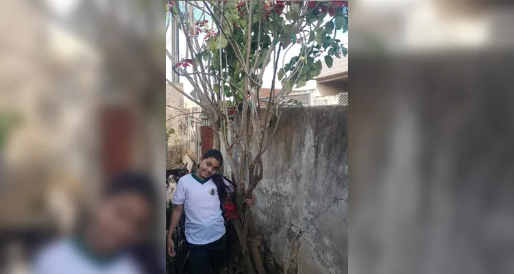 Veja a série de registros realizada pelos estudantes e dentro da sala de aula.