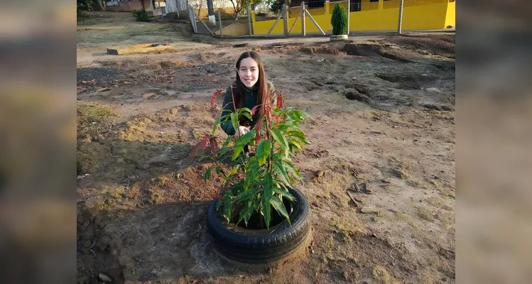 Veja a série de registros realizada pelos estudantes e dentro da sala de aula.