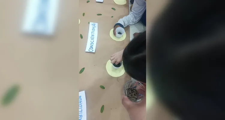 Confira os principais registros do trabalho dos estudantes.
