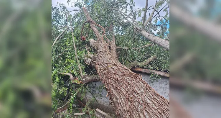 RS entra em alerta para colapso de barragem e inundação de rios