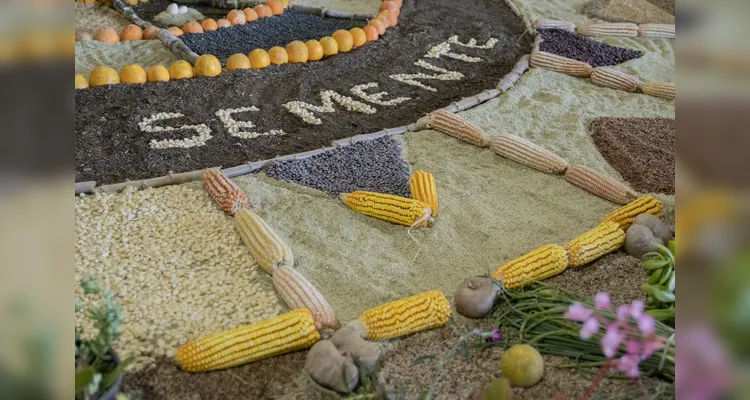 Edição de 2025 da Feira de Sementes Crioulas.