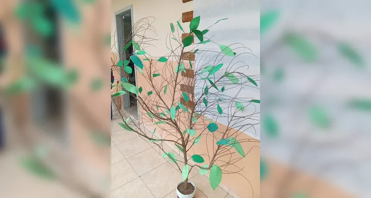 Confira a série de registros, dentro e fora da sala de aula.