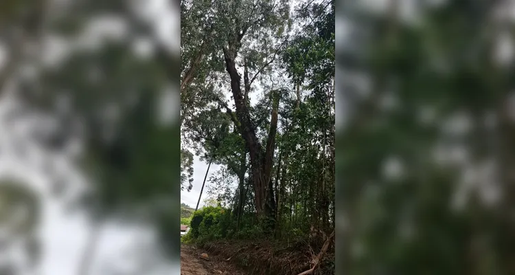 Confira a série de registros, dentro e fora da sala de aula.