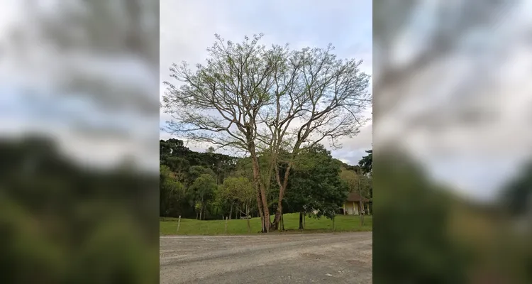 Confira a série de registros, dentro e fora da sala de aula.