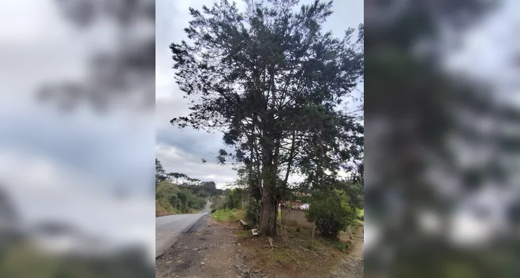 Confira a série de registros, dentro e fora da sala de aula.